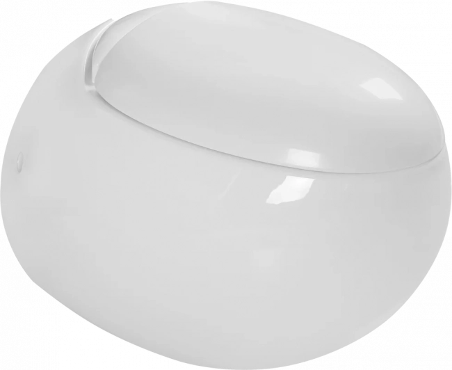 Унитаз подвесной SantiLine SL-5001 безободковый, с микролифтом Унитаз подвесной SantiLine SL-5001 безободковый, с микролифтом
